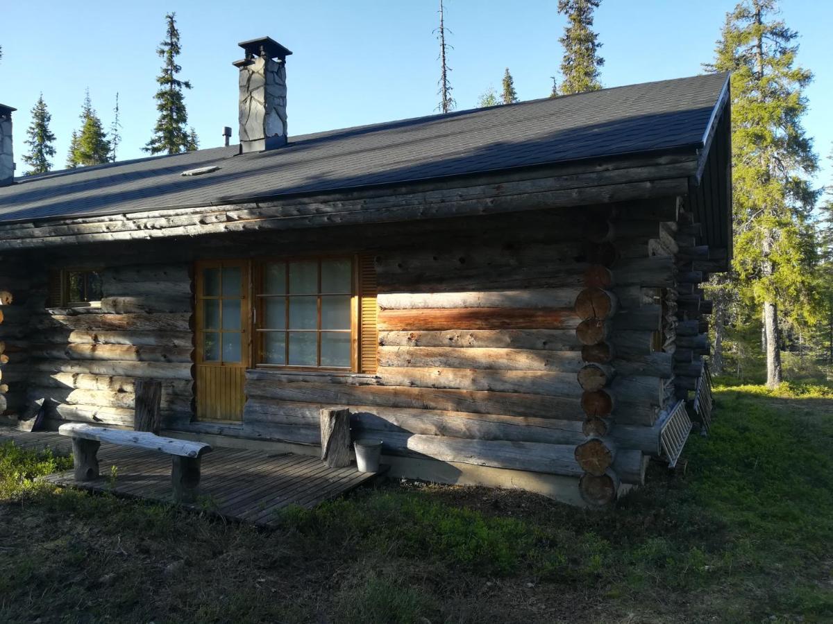Logwood Chalet 洛斯托 外观 照片