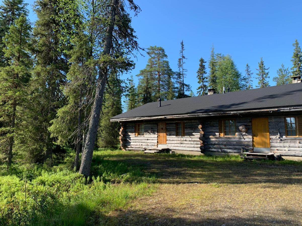 Logwood Chalet 洛斯托 外观 照片